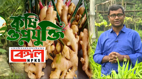 কৃষি ও প্রযুক্তি